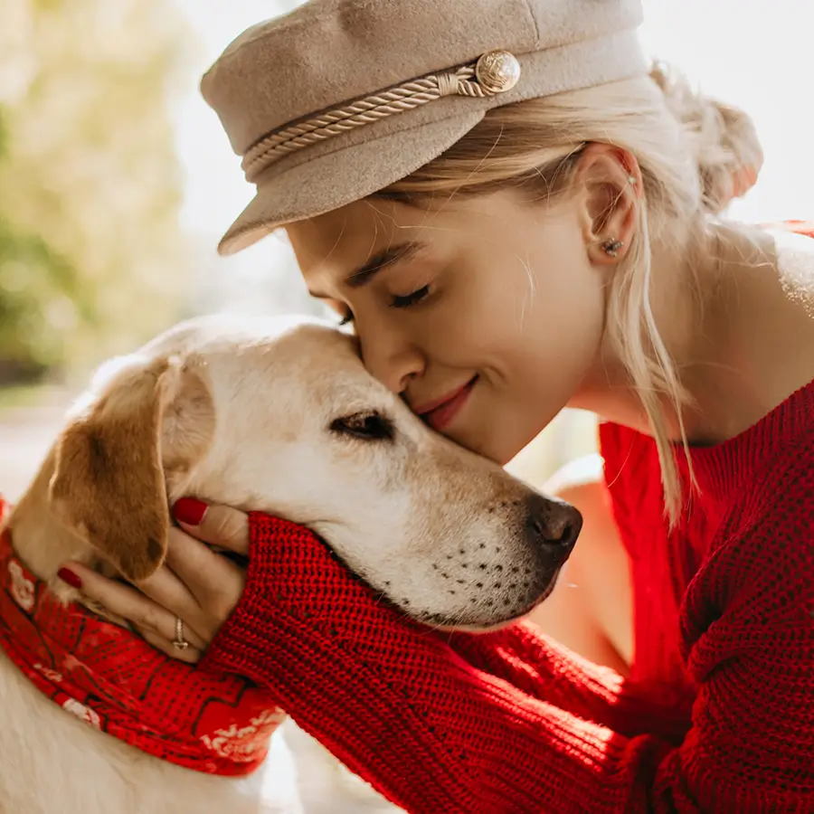 Heller Labrador und Frau mit rotem Pullover gibt Hund einen kuss auf die Stirn